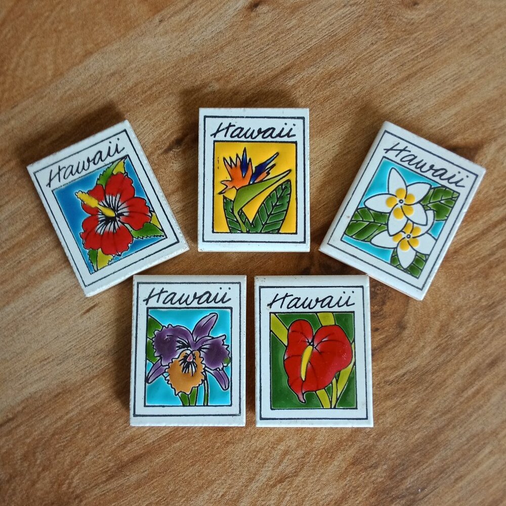 Hawaii Souvenir Magnets/5 pc